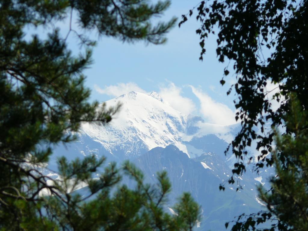 Pension Erlhof Saalfelden Cameră foto