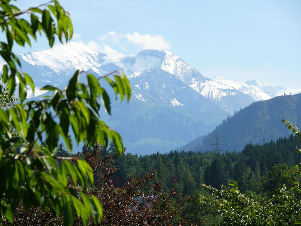 Pension Erlhof Saalfelden Cameră foto